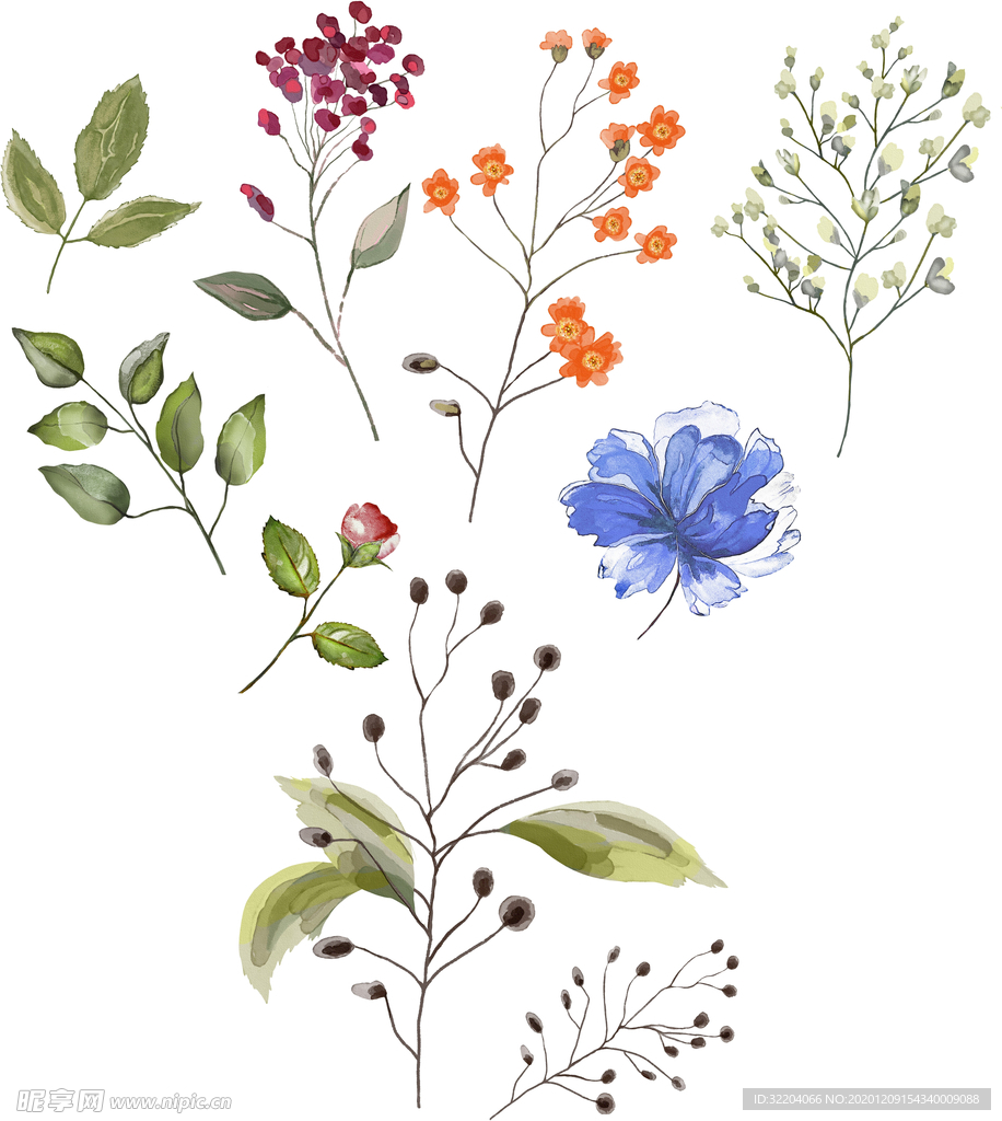 手绘花