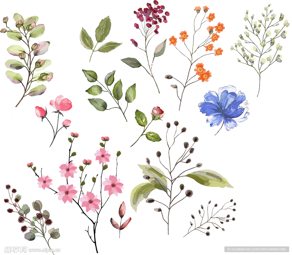 手绘花