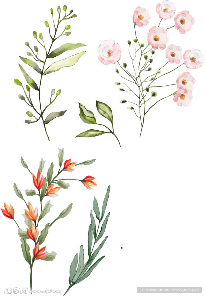 手绘花