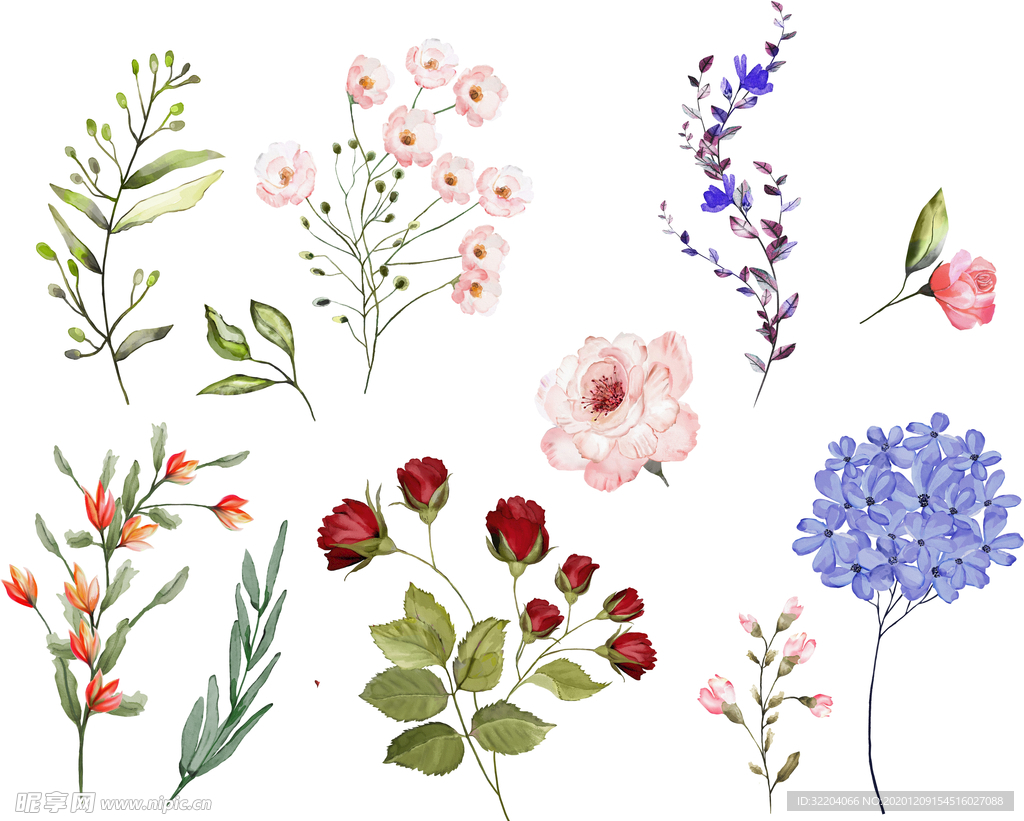 手绘花