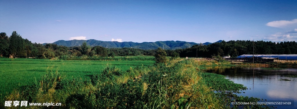 田园