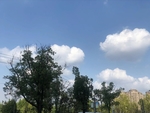青山绿水