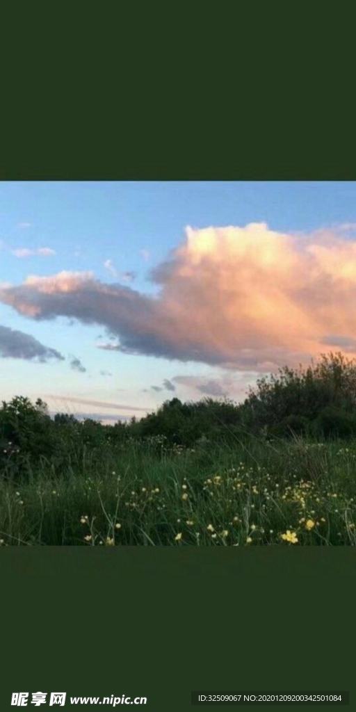 绿地美景