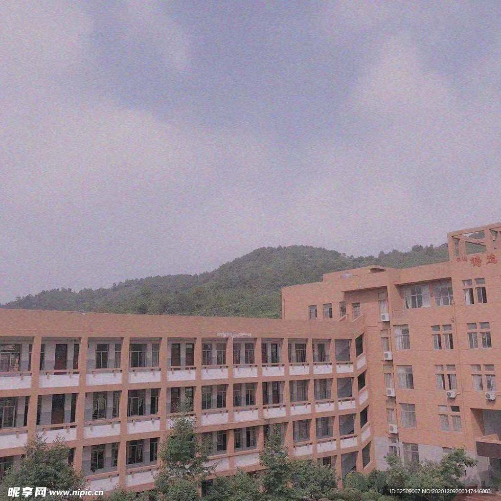 学校