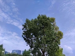 仰拍