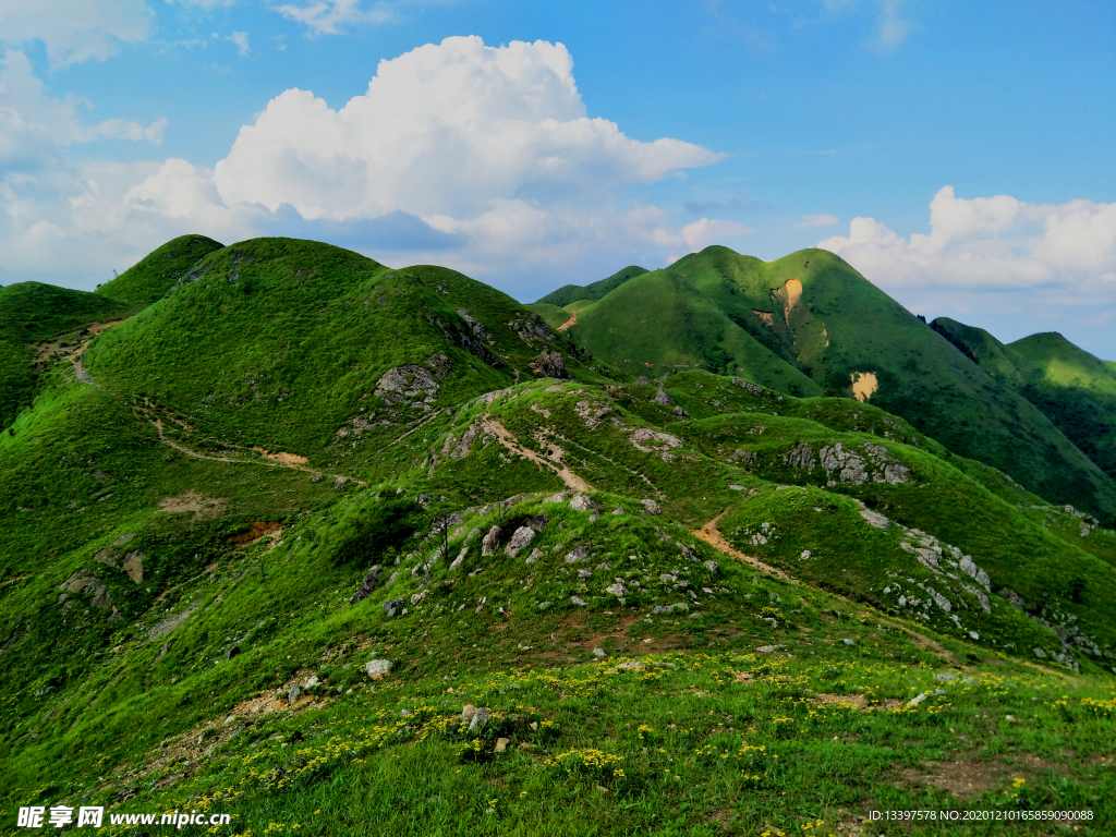 高山草原 白云蓝天 绿野 空旷