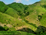 高山草原 白云蓝天 绿野 空旷