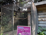 鸟笼