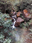 旅游区