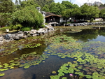 旅游区
