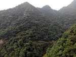 旅游区