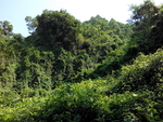 旅游区
