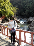 旅游区