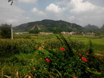 旅游区