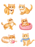 卡通猫动作