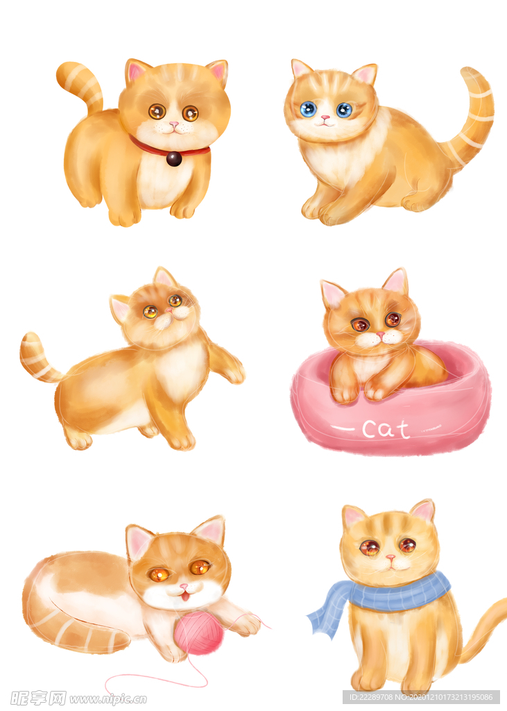 卡通猫动作