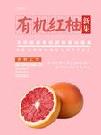 红柚海报