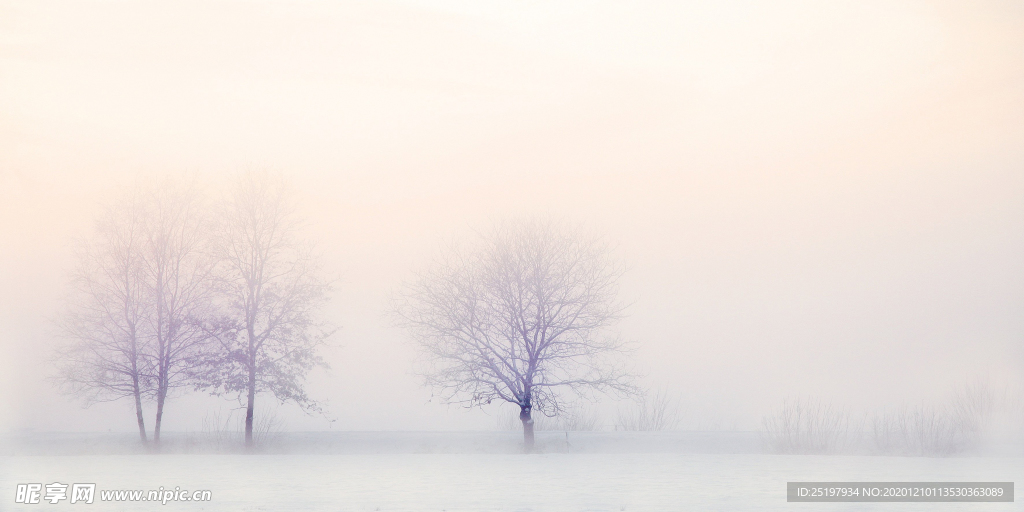 雪景