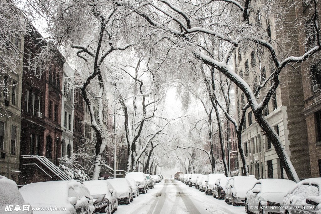 雪景