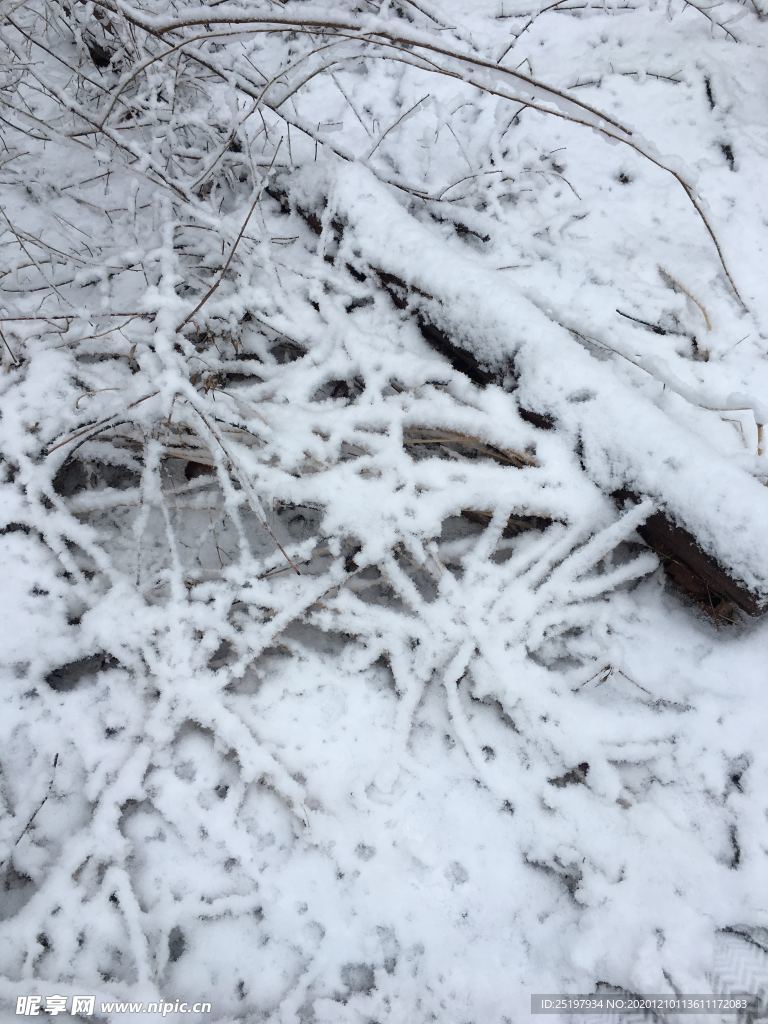 雪景