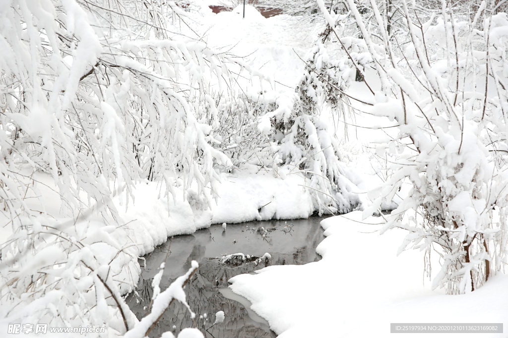 雪景