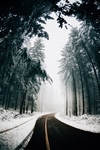 雪景