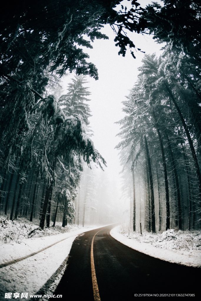 雪景