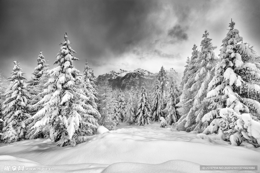 雪景