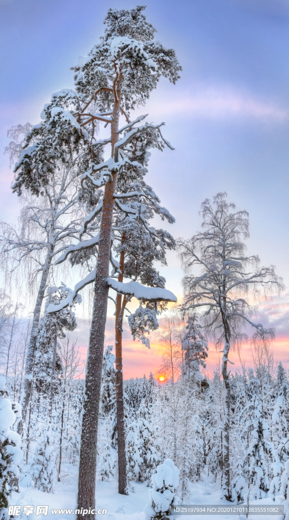 雪景