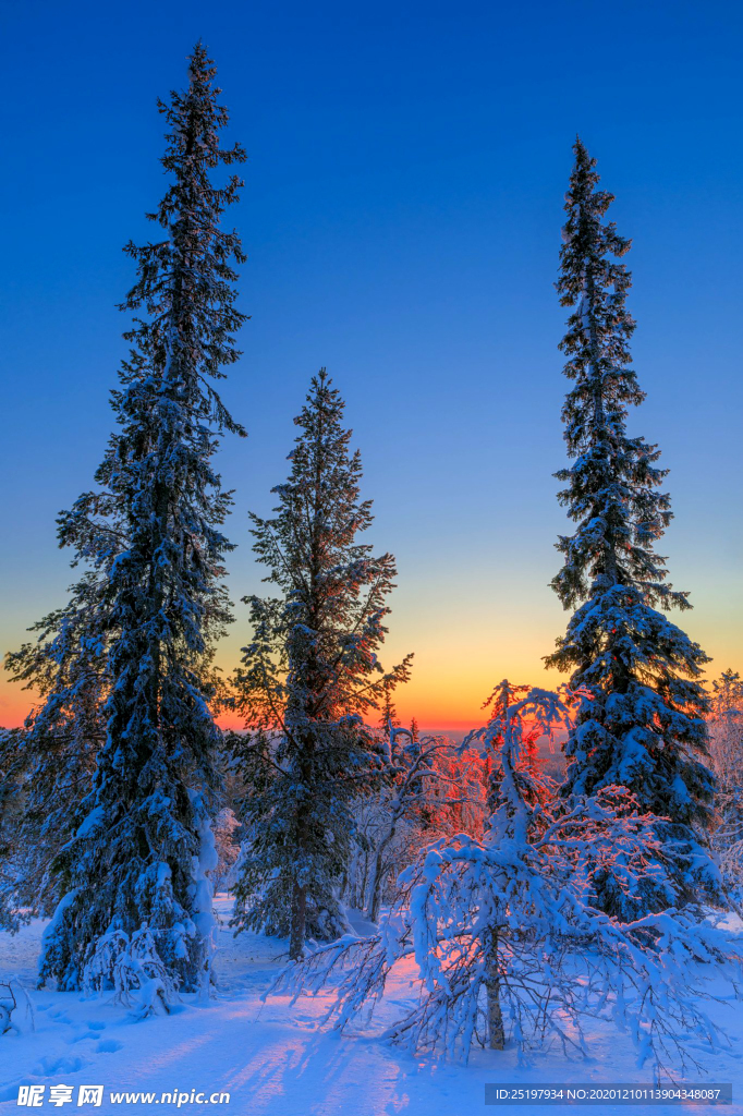雪景