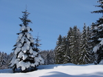 雪景