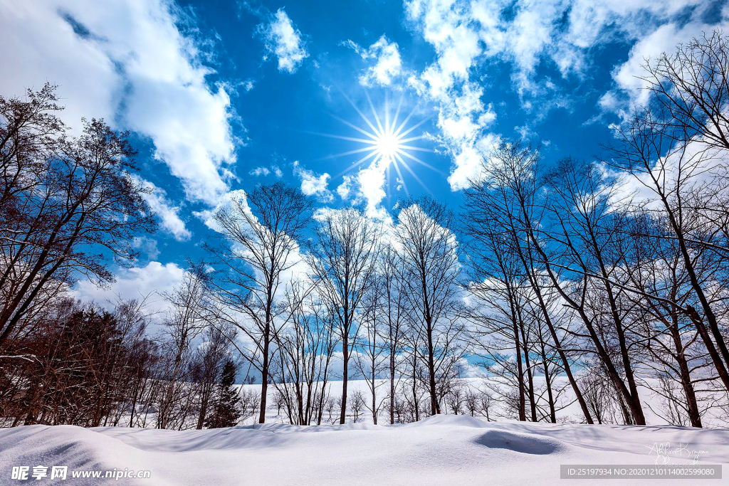 雪景