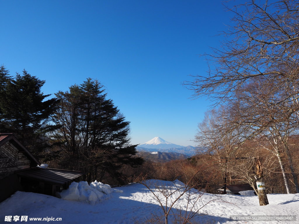 雪景