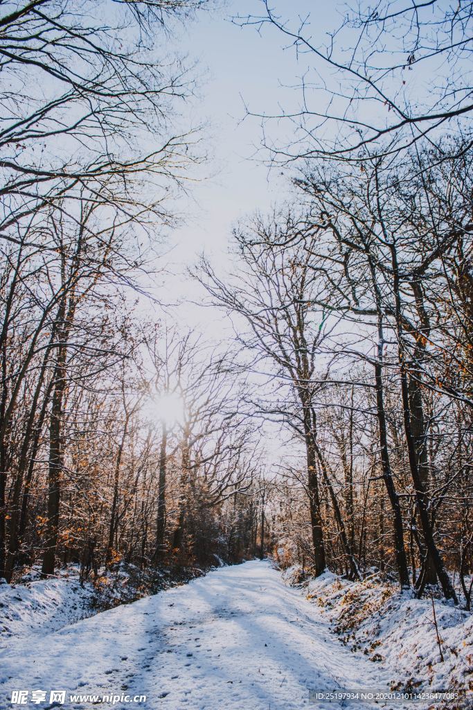 雪景