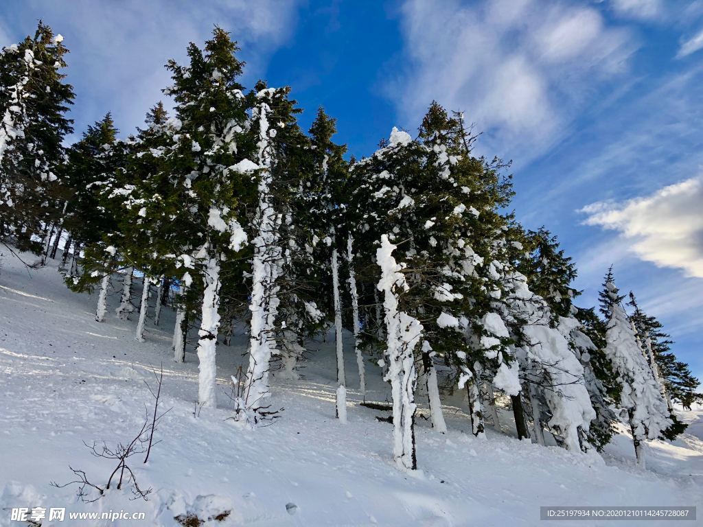 雪景