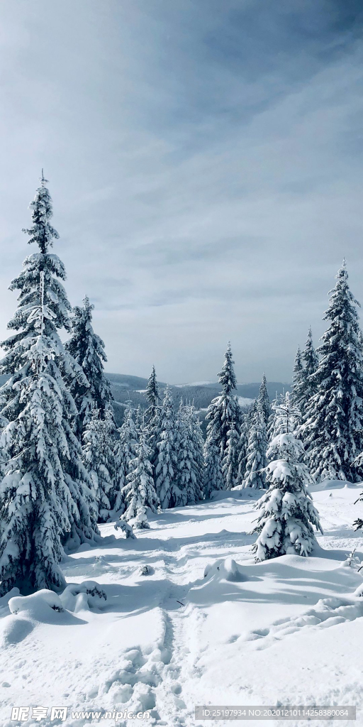 雪景