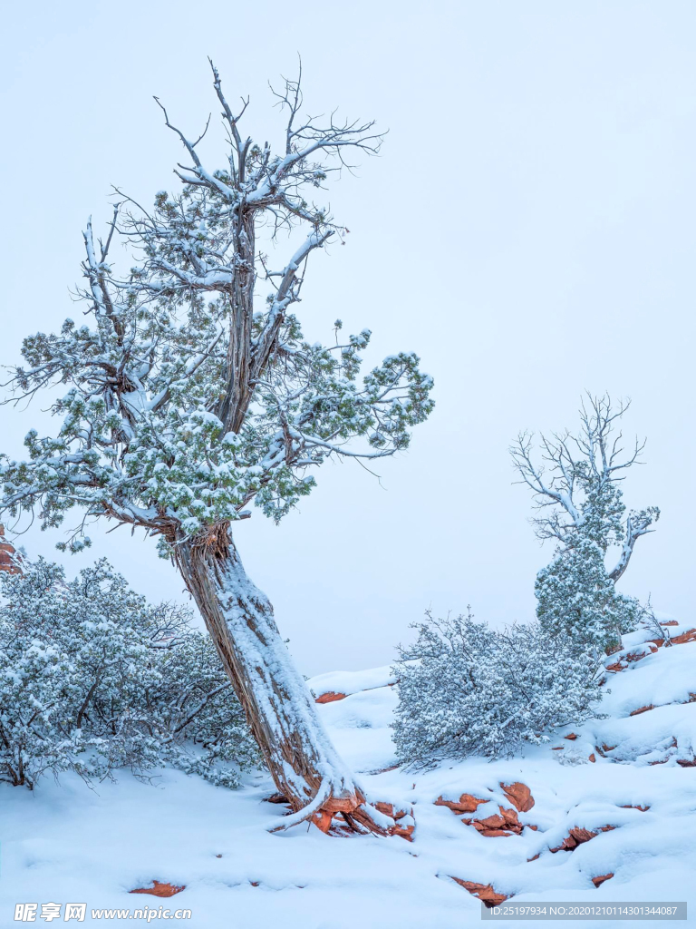 雪景