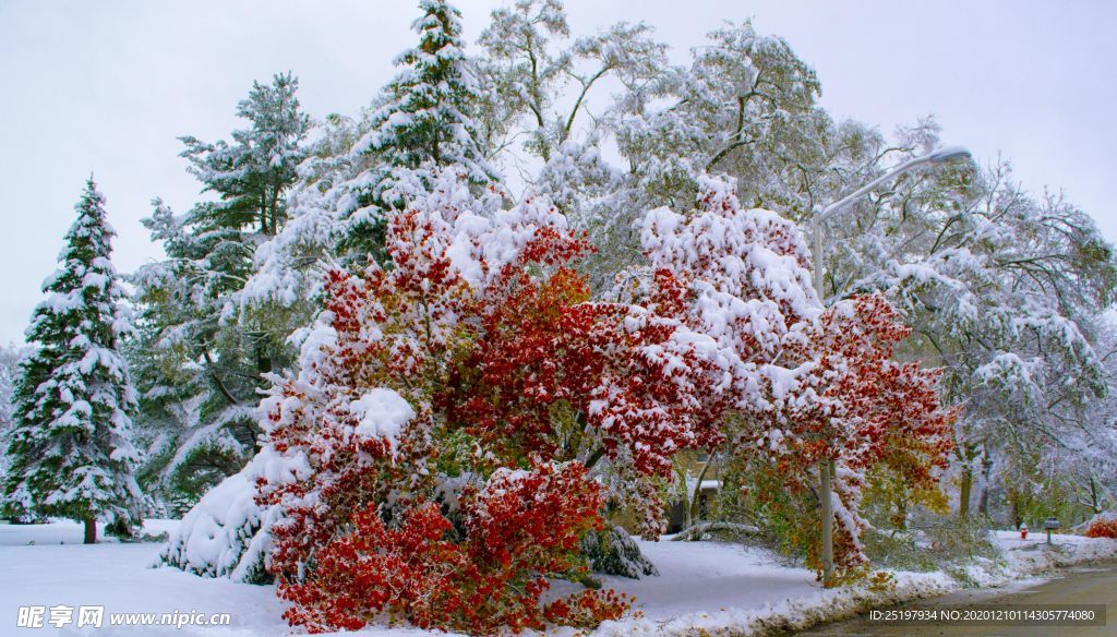 雪景