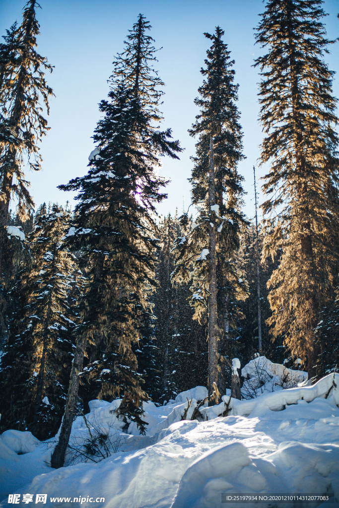 雪景