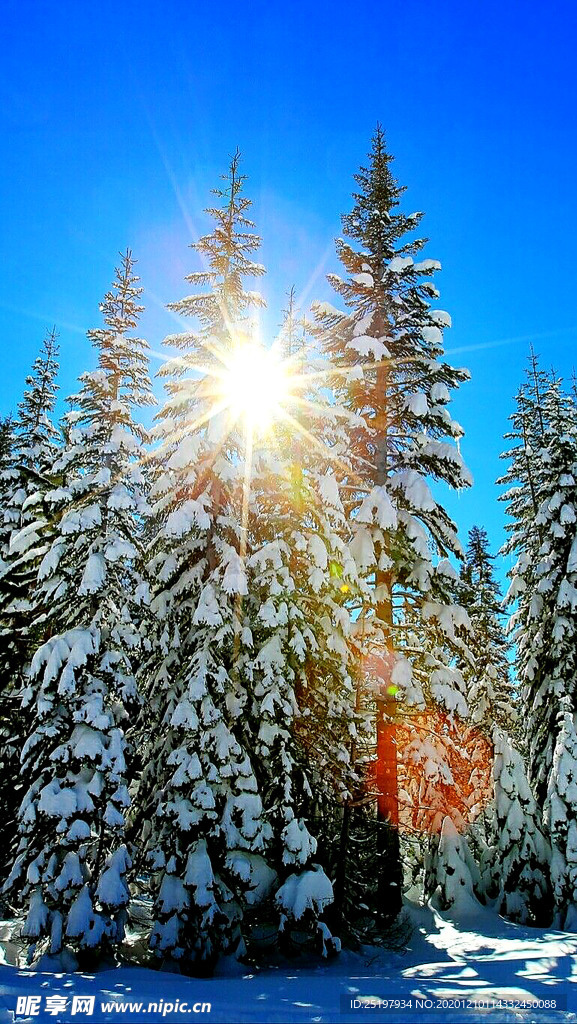 雪景