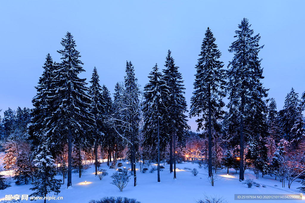 雪景