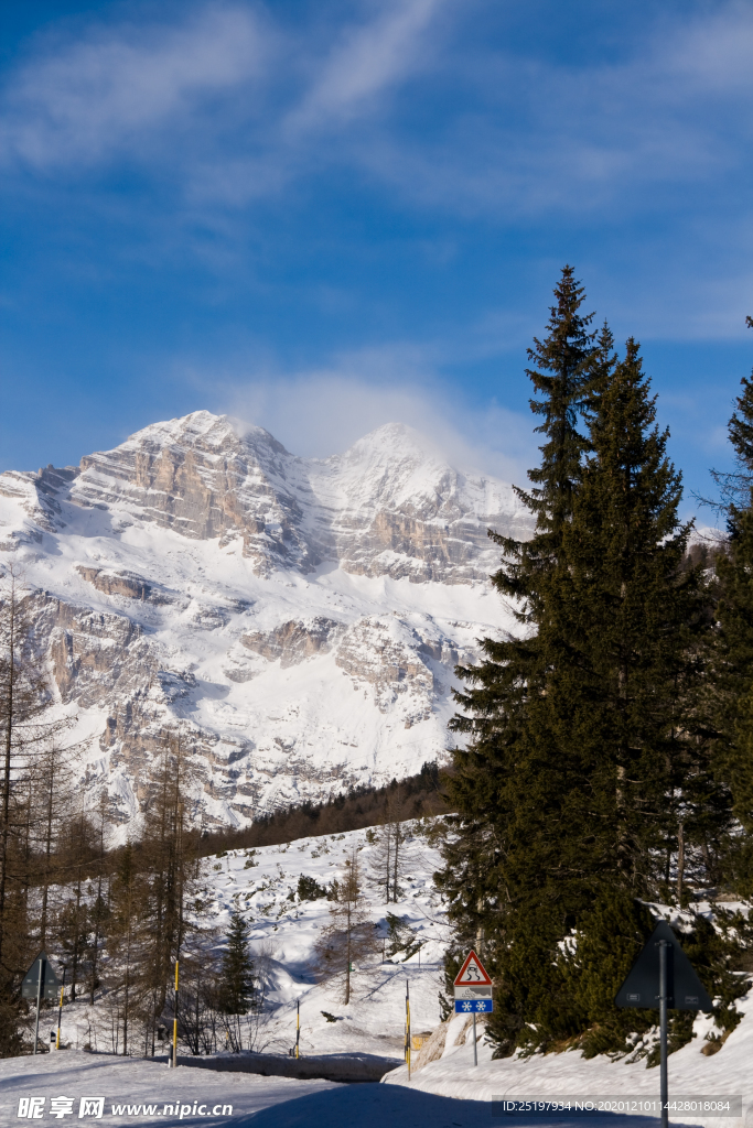 雪景