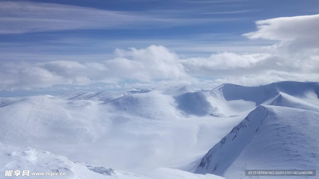 雪景