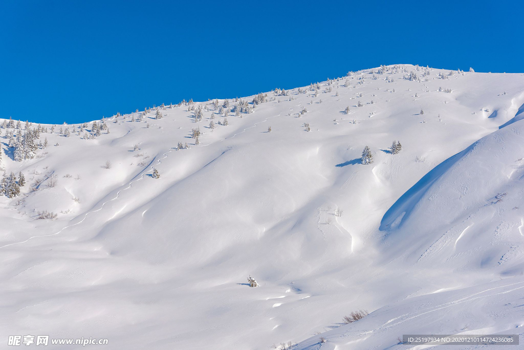雪景