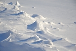 雪景