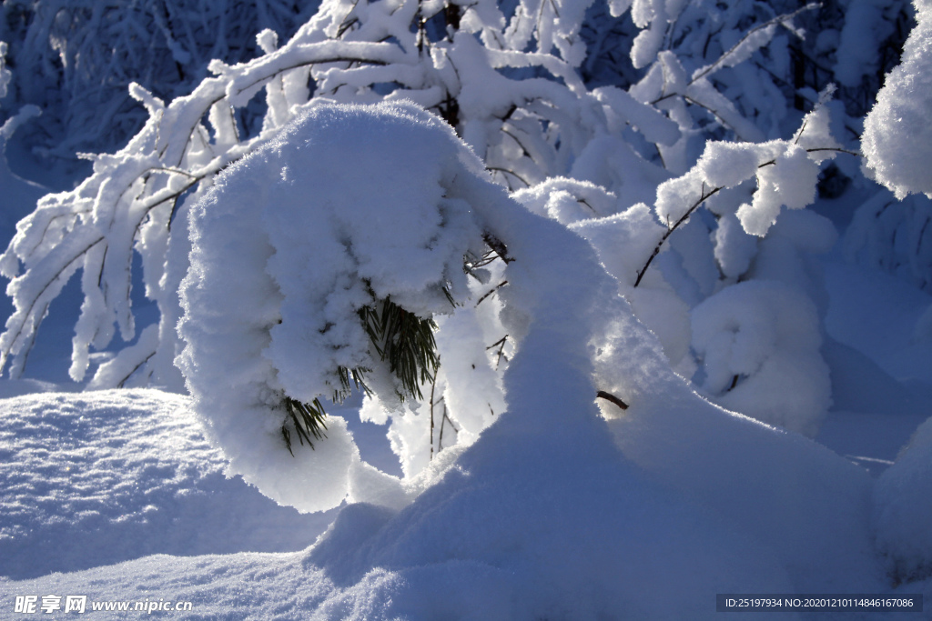 雪景