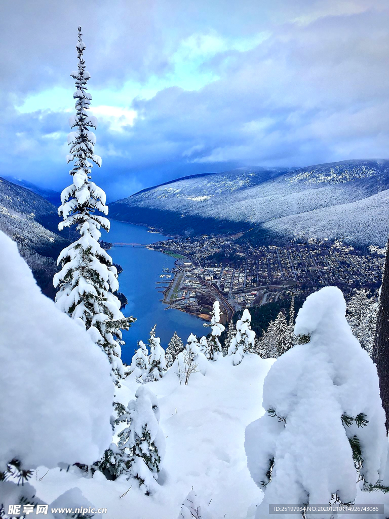 雪景