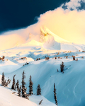 雪景