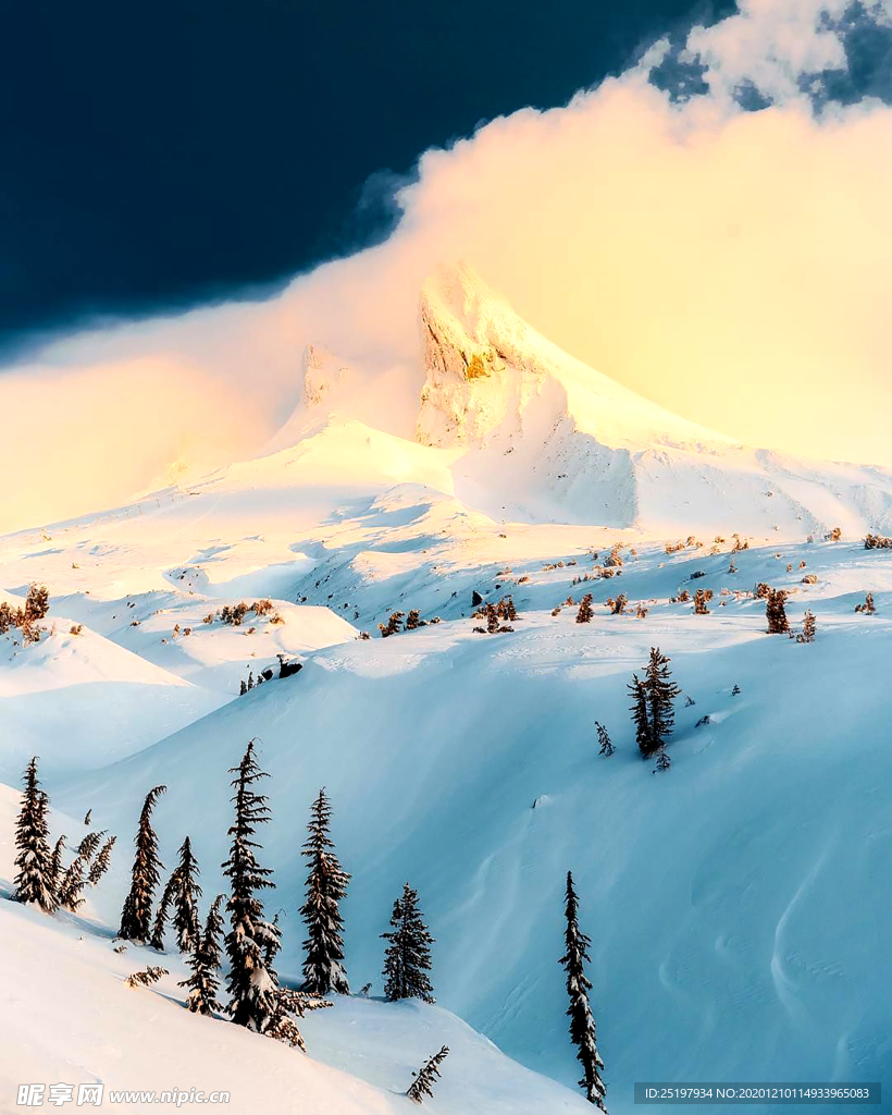 雪景