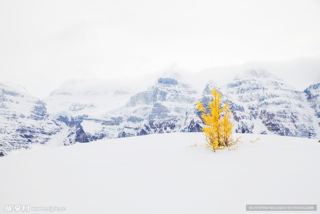 雪景